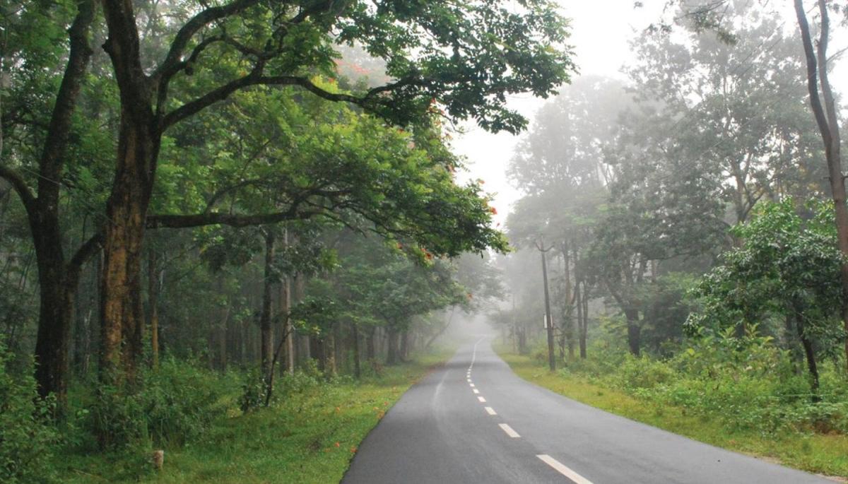 Wayanad Forest Weekender — motorcycle tour in Kerala, India