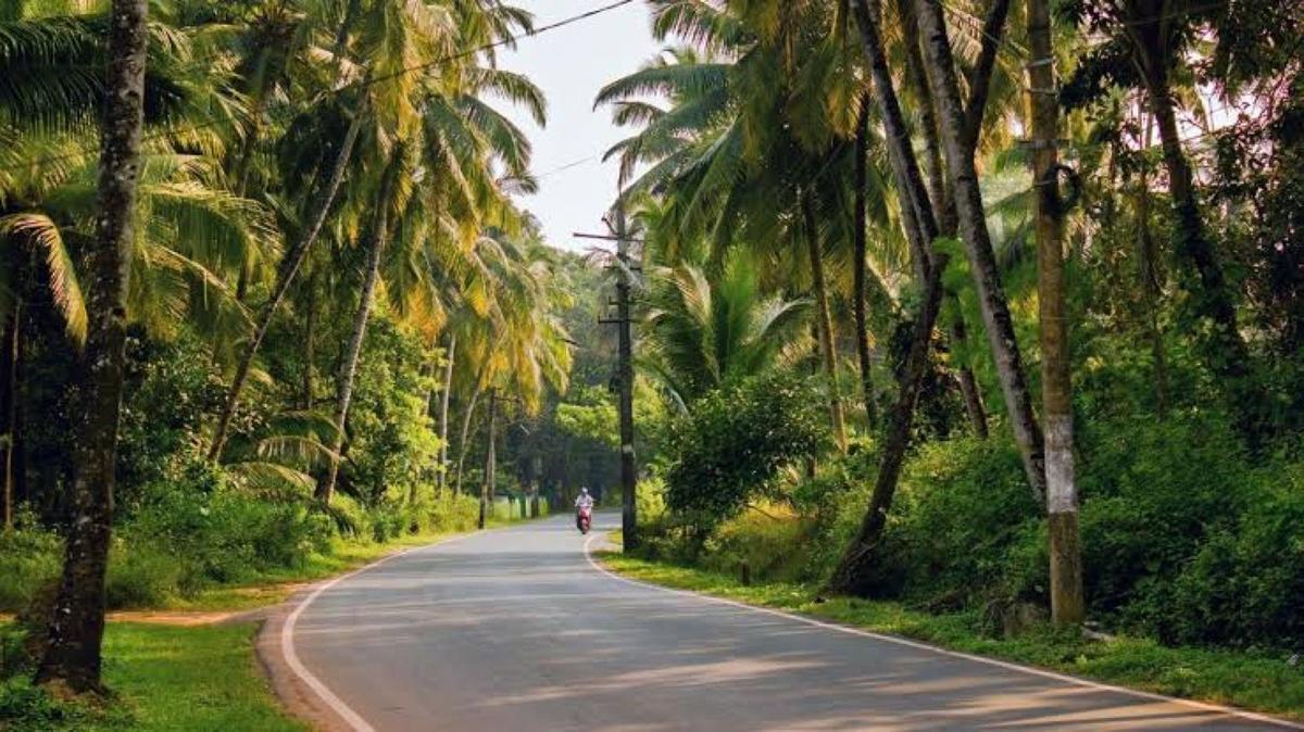 Goa Backroads & Dudhsagar — motorcycle tour in Goa, India
