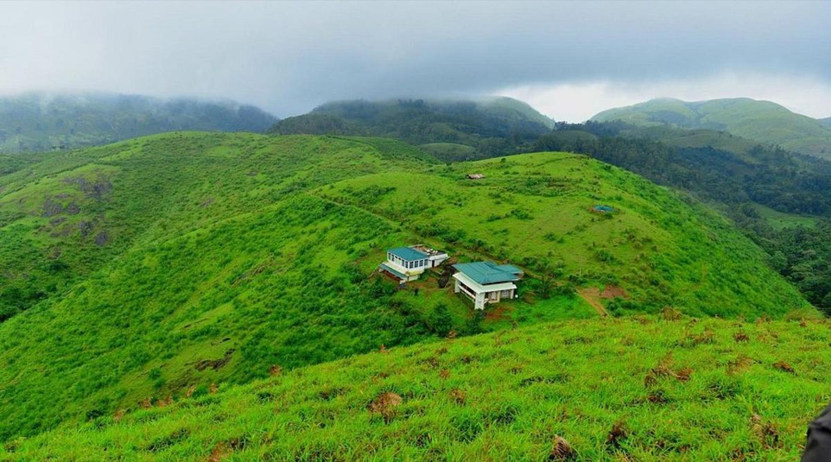 Vagamon Meadows Escape — motorcycle tour in Kerala, India