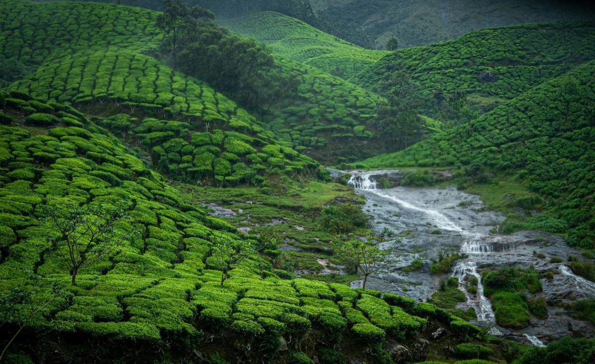 South India Grand Tour — motorcycle tour in Kerala, India