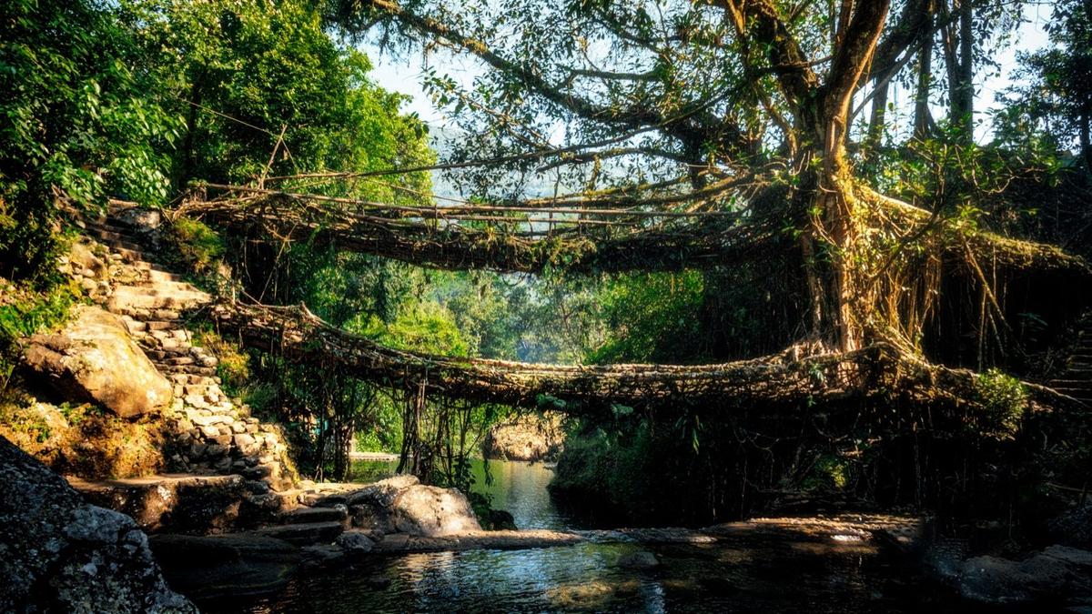 Meghalaya: Living Root Bridges — motorcycle tour in Meghalaya, India
